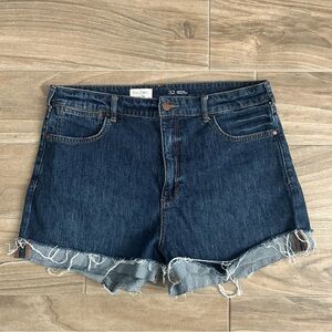 Pilcro High-Rise Jean Shorts | Size 32